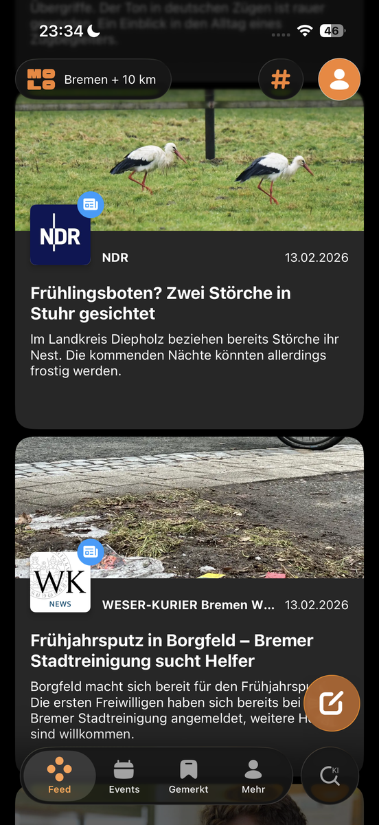 molo App: lokaler Feed